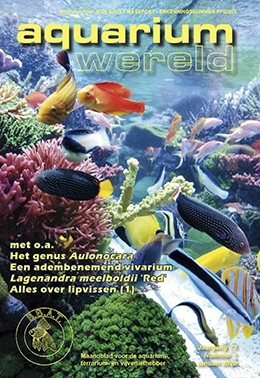 https://aquariumwereld-digitaal.be/wp-content/uploads/awd-zeewater1.png